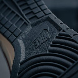 Nike Dunk Low Dark Pony Soft Pearl Sneakers